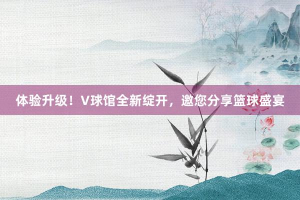 体验升级！V球馆全新绽开，邀您分享篮球盛宴